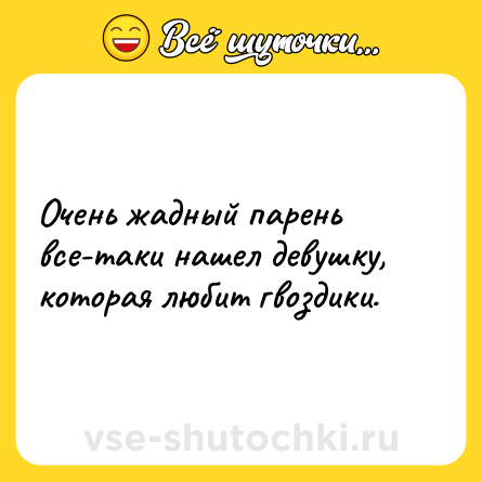 Шутка: Очень жадный парень все-таки нашел девушку, которая любит гвоздики.