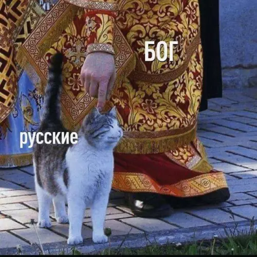 Смешная картинка №701550