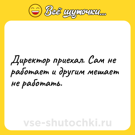 Шутка: Директор приехал. Сам не работает и другим мешает не работать.