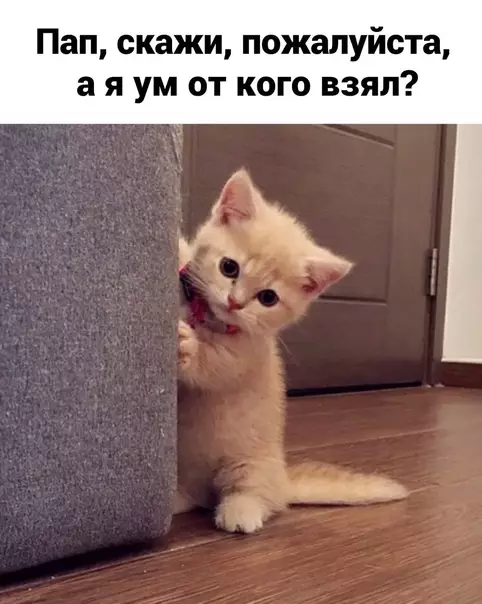 Смешная картинка №578209 Дoшyтилcя