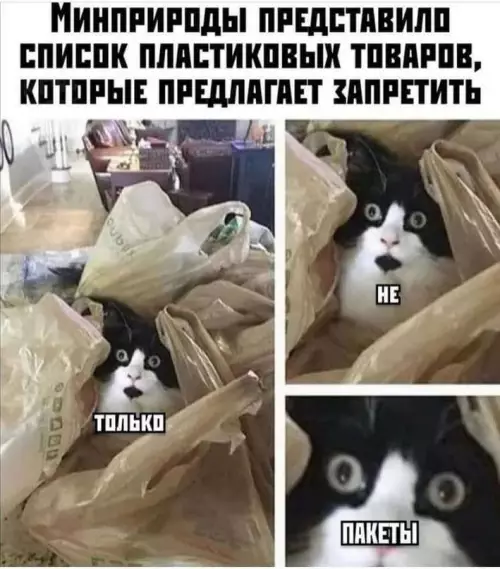 Смешная картинка №606220