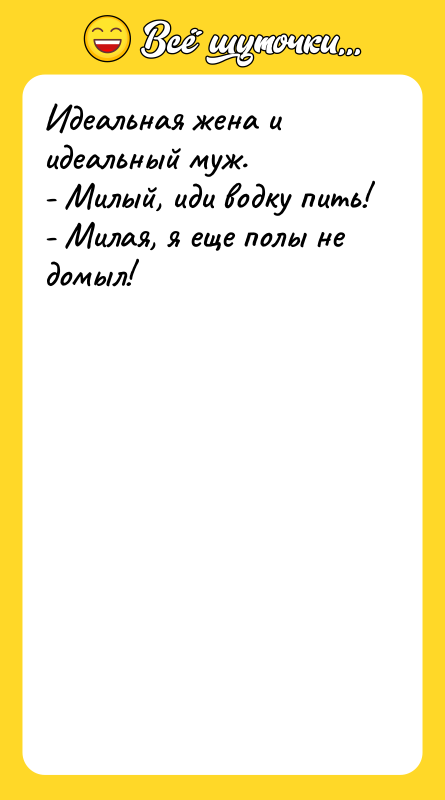 Идеальная жена и идеальный муж. - Милый, иди водку пить!