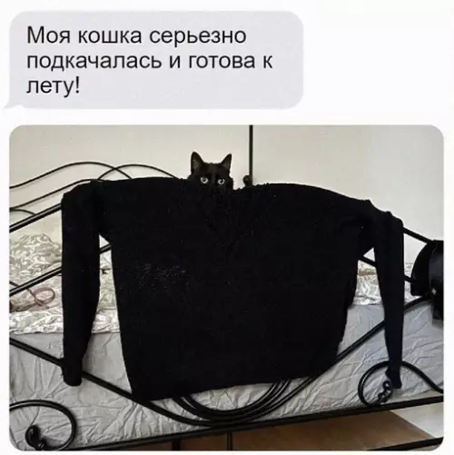 Смешная картинка №717771