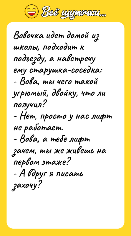 Вовочка идет домой из школы, подходит к подъезду, а навстречу