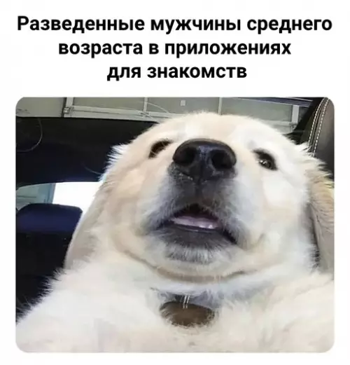 Смешная картинка №654851