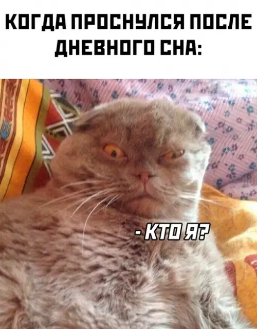Смешная картинка №662904