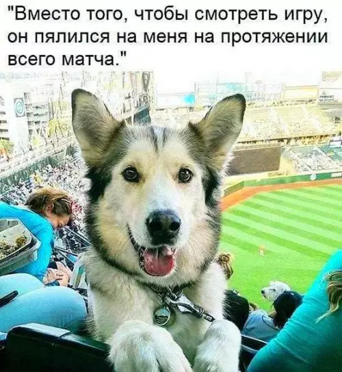 Смешная картинка №241854