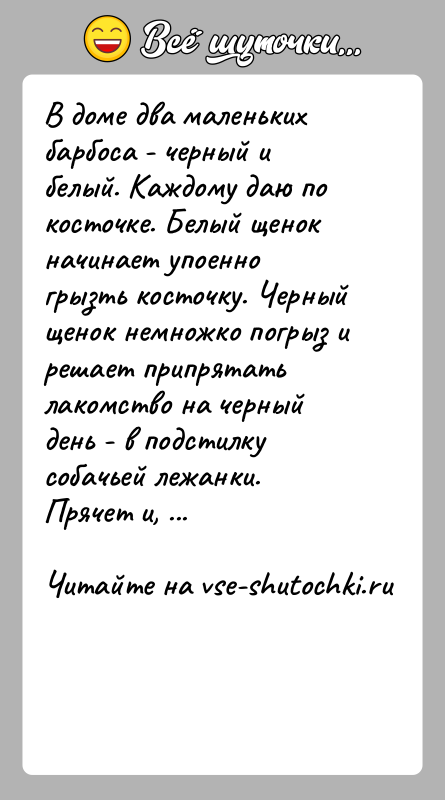 История: В доме два маленьких барбоса - черный и белый. Каждому даю по косточке. Белый щенок начинает упоенно грызть косточку. Черный