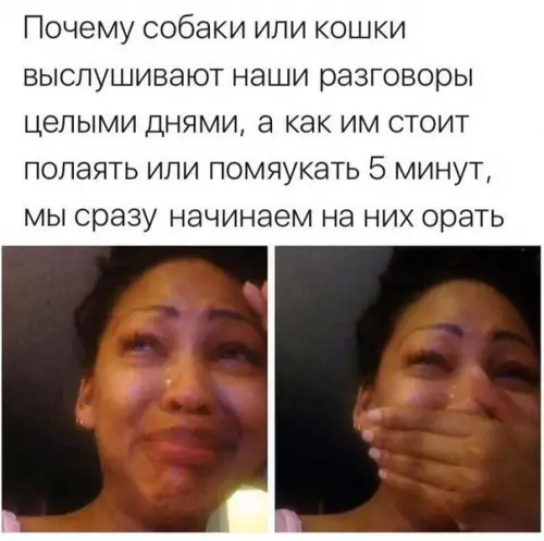 Смешная картинка №227142