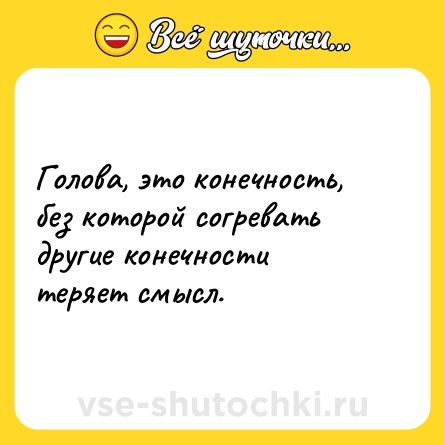 Шутка: Голова, это конечность, без которой согревать другие конечности теряет смысл.