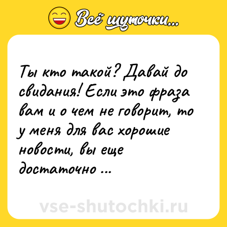 Шутка: Ты кто такой? Давай до свидания! Если это фраза вам и о чем не говорит, то у меня для вас хорошие новости, вы еще достаточно молоды.