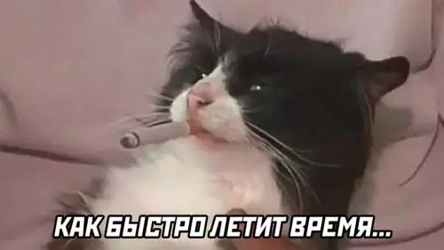 продолжение Смешная картинка №605130