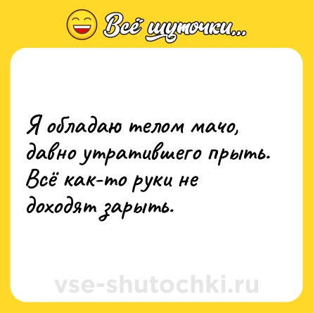 Шутка: Я обладаю телом мачо, давно утратившего прыть. Всё как-то руки не доходят зарыть.