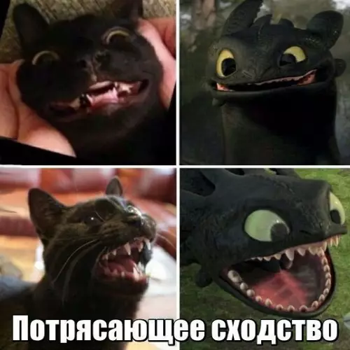 Смешная картинка №208765