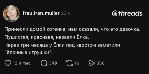 Ошибка в коде или кошачий пранк? 😹 - Принесли домой котенка, нам сказали, что это девочка. Пушистая, красивая,