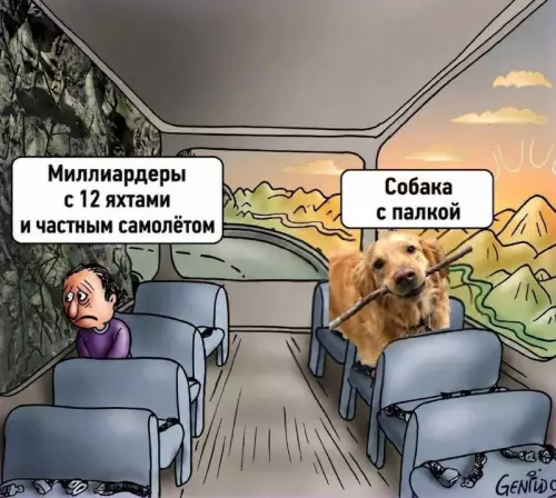 Бизнес-класс для золотистого ретривера 🐕✨ - Миллиардеры с 12 яхтами и частным самолётом. Собака с палкой.