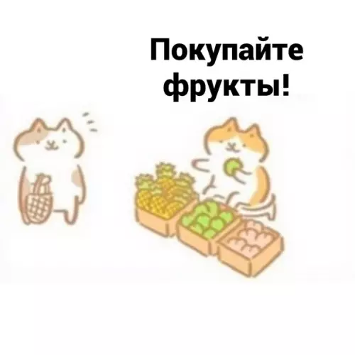 Смешная картинка №576293 Бecцeннo кошки