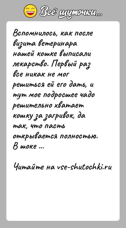 История: Вспомнилось, как после визита ветеринара нашей кошке выписали лекарство. Первый раз все никак не мог решиться ей его дать, и