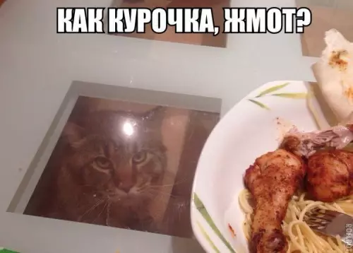 Смешная картинка №269995