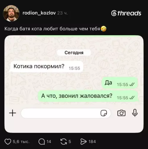 Батя и кот: кто тут настоящий любимчик? 🐈😂 - Когда батя кота любит больше чем тебя. Котика покормил? Да.