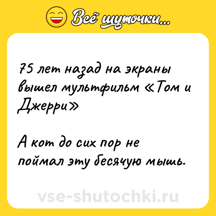Шутка: 75 лет назад на экраны вышел мультфильм «Том и Джерри» <br><br>А кот до сих пор не поймал эту бесячую мышь.
