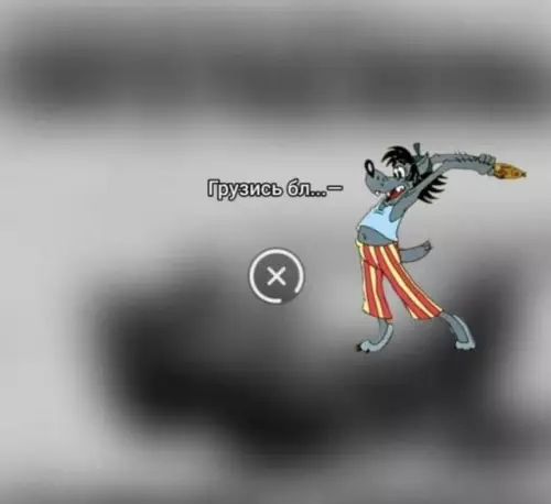 Смешной момент с волком