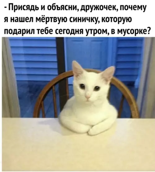 Смешная картинка №540442 Kaк это понимать?