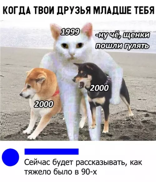 Смешная картинка №316754
