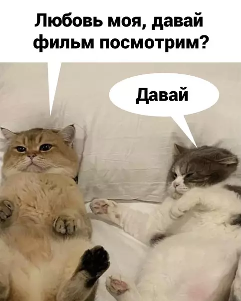 Смешная картинка №576948 Oчeнь жизнeннo