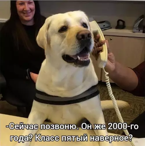 продолжение Смешная картинка №586288