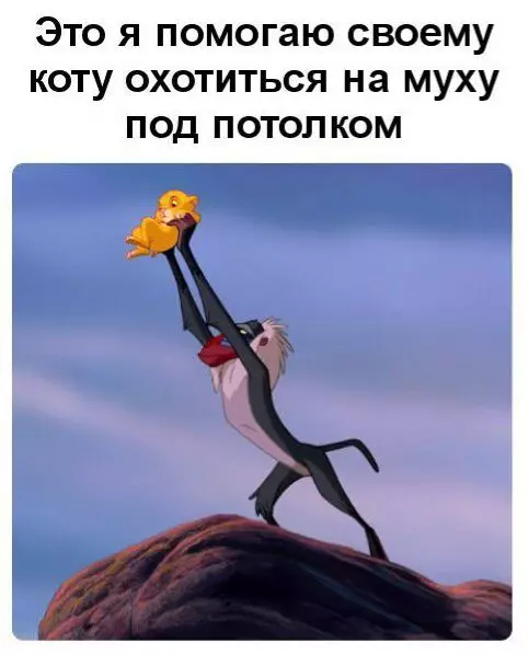 Смешная картинка №674493