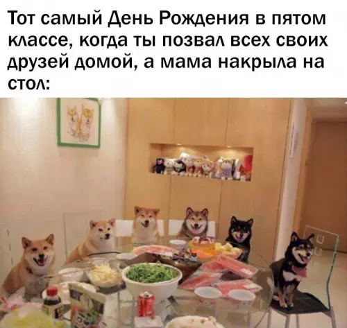 Смешная картинка №663821 День рождения, собаки