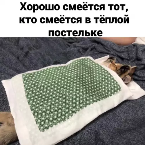 Смешная картинка №533619 утро