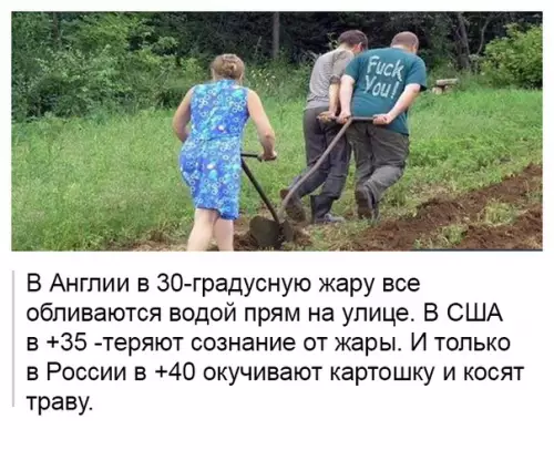 Смешная картинка №365820