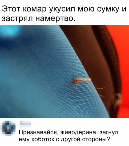 Смешная картинка №354209