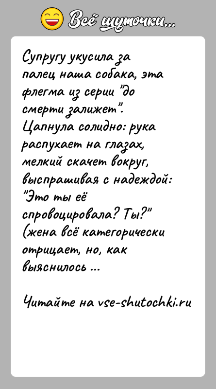 История: Супругу укусила за палец наша собака, эта флегма из серии до смерти залижет . Цапнула солидно: рука распухает на глазах, мелкий