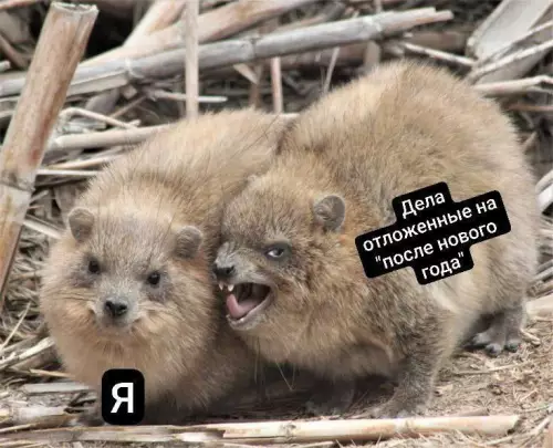 Смешная картинка №798761