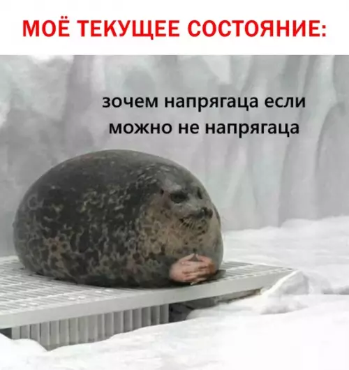 Смешная картинка №327547 Совет месяца