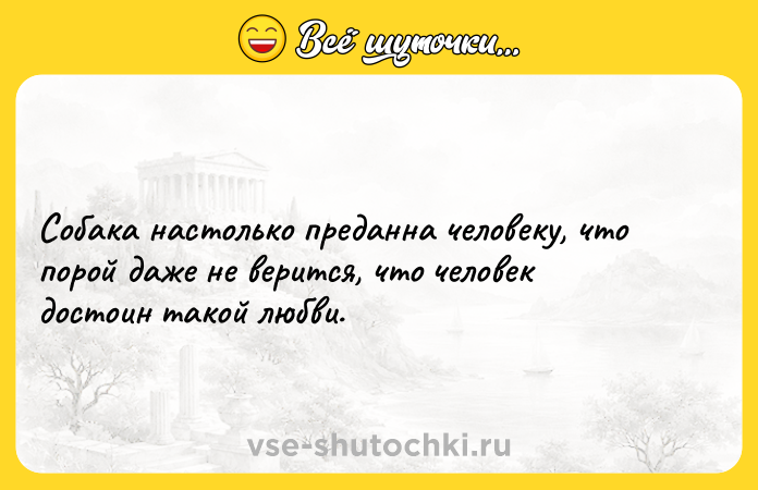 Цитата: Собака настолько преданна человеку, что порой даже не верится, что человек достоин такой любви.