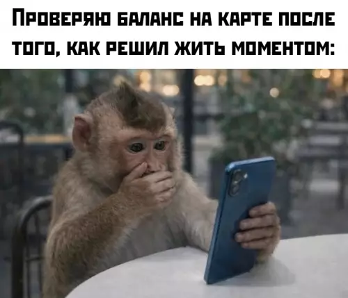 Обезьяна и баланс - Проверяю баланс на карте после того, как решил жить моментом: