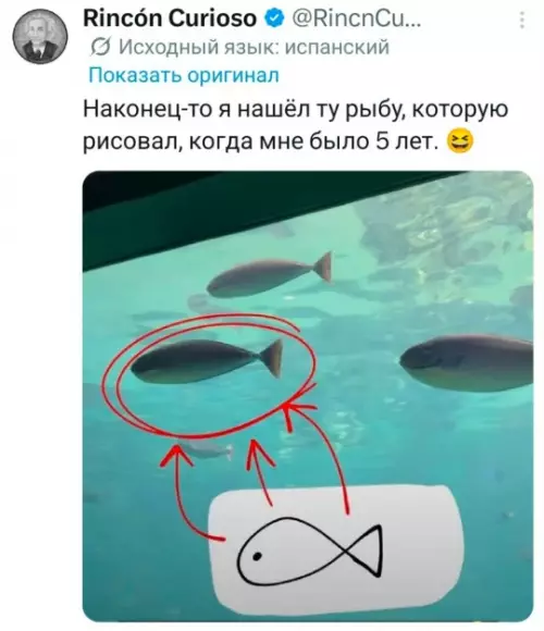 Когда детские рисунки становятся реальностью - Наконец-то я нашёл ту рыбу, которую рисовал, когда мне было