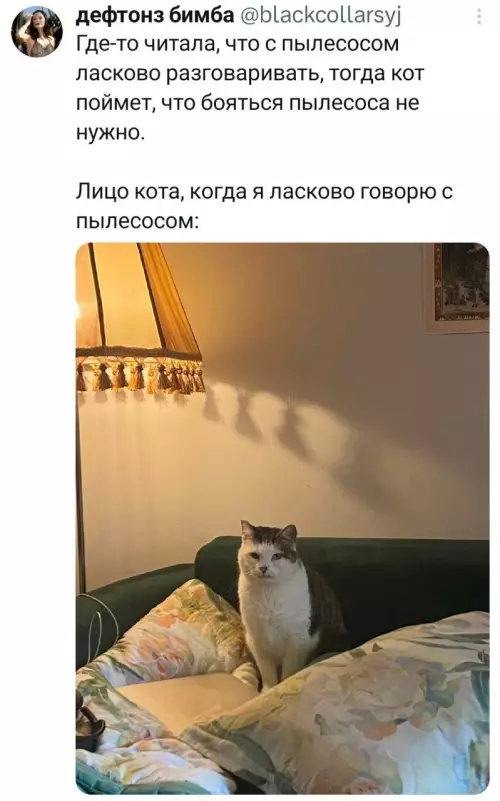 Смешная картинка №784531