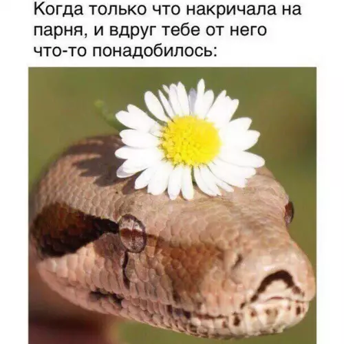 Смешная картинка №362766 Милaxa?