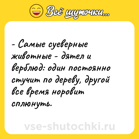 Шутка: - Самые суеверные животные - дятел и верблюд: один постоянно стучит по дереву, другой все время норовит сплюнуть.