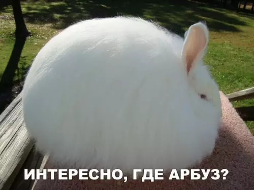 Смешная картинка №200166