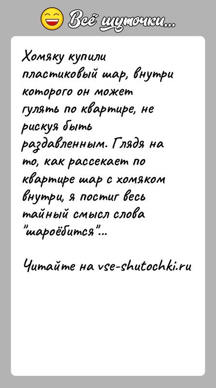 История: Хомяку купили пластиковый шар, внутри которого он может гулять по квартире, не рискуя быть раздавленным. Глядя на то, как рассекает
