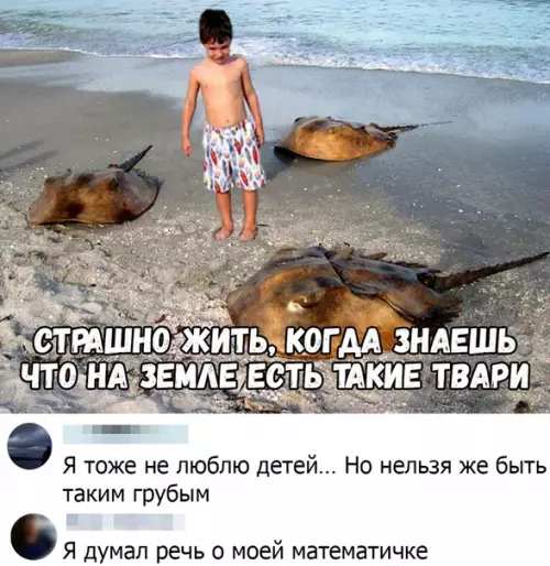 Смешная картинка №435739
