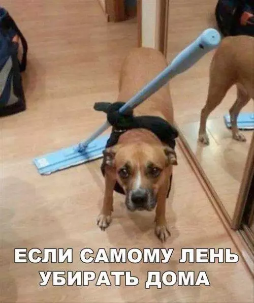 Смешная картинка №192090