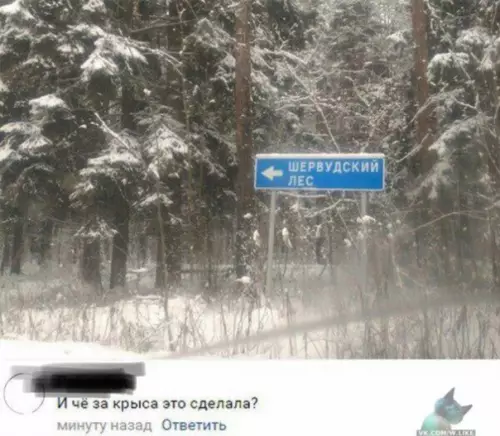 Смешная картинка №324510