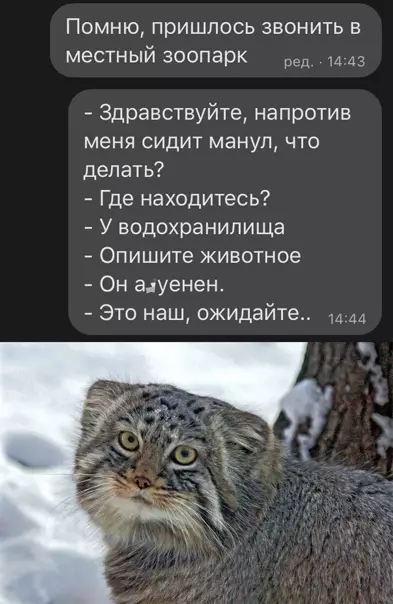 Смешная картинка №556485
